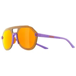 Alpina Beam II Mirror Cat. 3 - Sunglasses