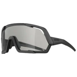Alpina Rocket V Cat. 0-3 - Cycling Glasses