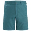 Icebreaker Hike Shorts - Shorts
