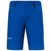SALEWA Agner DST Shorts - Shorts