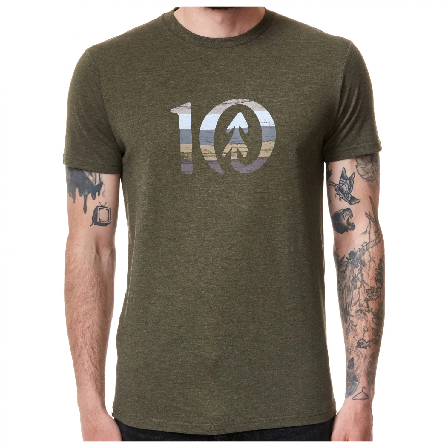 Tentree Spruce Stripe Ten T-Shirt